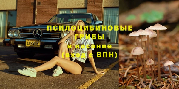 трава Абаза
