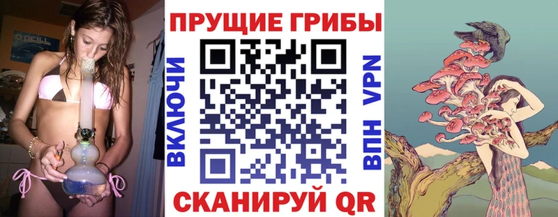Псилоцибиновые грибы мухоморы Лесозаводск