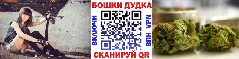 OMG онион  Лесозаводск  Шишки марихуана ГИДРОПОН  где продают  